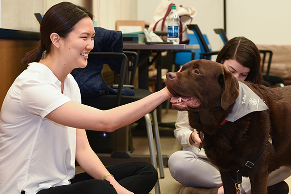 therapy dog spending time with students and staff