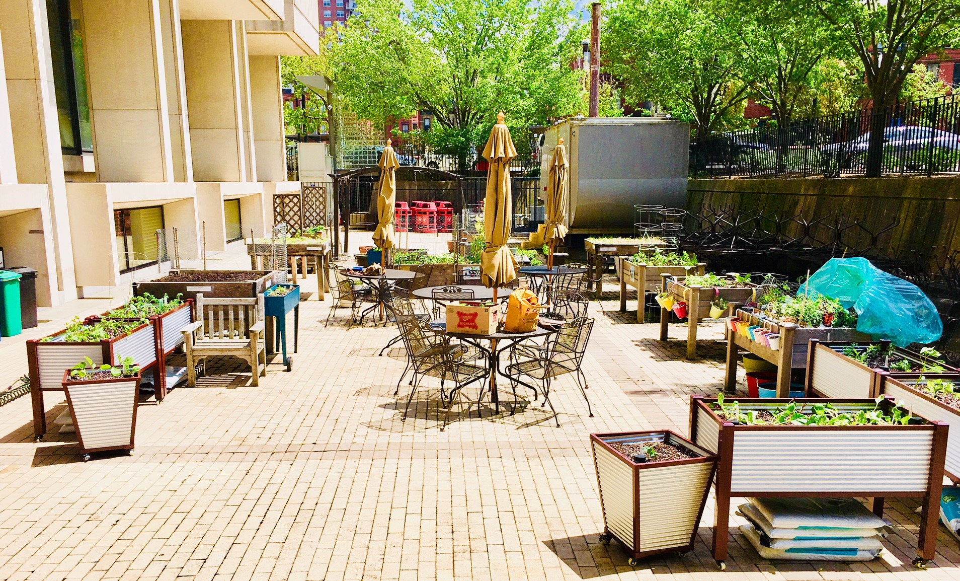 garden beds